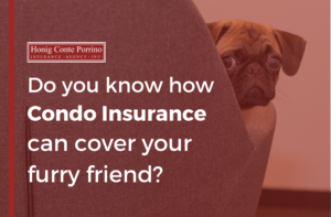 Afterall, there are plenty of risks that come with owning a condo. One of them being dog bites. Condo insurance covers dog bites.