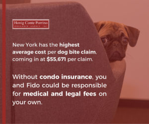 common condo insurance questions answered, are dog bites covered by condo insurance?
